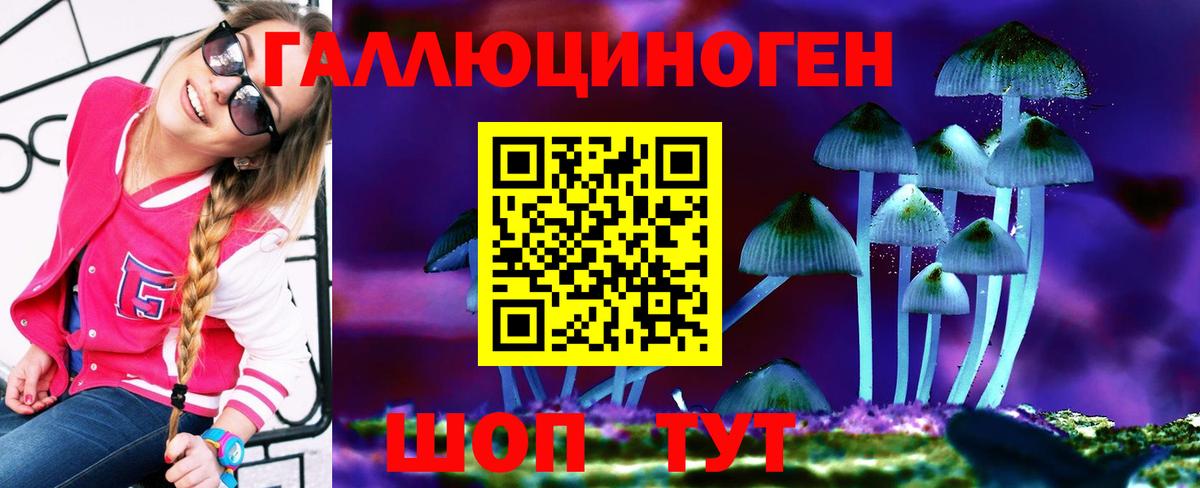 Урус-Мартан  Галлюциногенные грибы мицелий  Вход с VPN  Псилоцибиновые грибы Psilocybine cubensis 